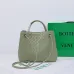 36BV new woven bag #A26031