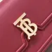 6Burberry Leather Shoulder Bag with Chain Strap #A45669
