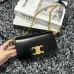 11CELINE 2024 new handbag #A34855