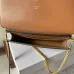 17CELINE MULTIPOCHETTE in TRIOMPHE CANVAS AND CALFSKIN #A49260