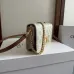 3CELINE MULTIPOCHETTE in TRIOMPHE CANVAS AND CALFSKIN #A49260