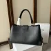 4CELINE Medium Appoline Bag | Celine Handbag #A49262