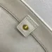 17Celine Calfskin Leather Small Triomphe Bucket Bag  Brown/White #A49264