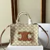 1Celine Canvas Tyce Small Shoulder Tote Bag #A49300