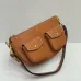 15Celine Triomphe Shoulder Bag with Multiple Pockets #A45664