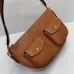 16Celine Triomphe Shoulder Bag with Multiple Pockets #A45664