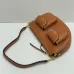 17Celine Triomphe Shoulder Bag with Multiple Pockets #A45664