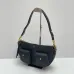 4Celine Triomphe Shoulder Bag with Multiple Pockets #A45664