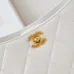 12 Chanel HOBO HANDBAG Shiny Lambskin #A49161