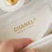 17 Chanel HOBO HANDBAG Shiny Lambskin #A49161