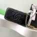 23CHANEL CC GHW Vanity Case 2 Way Shoulder Bag #A49145