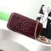 5CHANEL CC GHW Vanity Case 2 Way Shoulder Bag #A49145