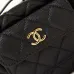 11CHANEL Caviar Quilted Polly Pocket Pouch Hobo Black/White #A49188