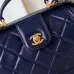 12CHANEL Shiny Lambskin Quilted Mini Cocodoc #A49160
