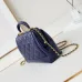 14CHANEL Shiny Lambskin Quilted Mini Cocodoc #A49160