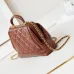 5CHANEL Shiny Lambskin Quilted Mini Cocodoc #A49160
