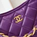12CHANEL Shiny Lambskin Quilted Small Hobo #A49163