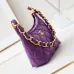 13CHANEL Shiny Lambskin Quilted Small Hobo #A49163