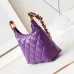 14CHANEL Shiny Lambskin Quilted Small Hobo #A49163