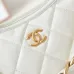 16CHANEL Shiny Lambskin Quilted Small Hobo #A49163