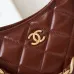 3CHANEL Shiny Lambskin Quilted Small Hobo #A49163