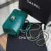 28Chanel Python Skin Small Crossbody Leather Bag #A49181
