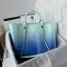 6Chanel Shoulder bag original AAA+ Quality #A33449