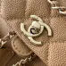 17Chanel Duma Backpack Caviar Leather Gold Hardware #A49133