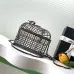 12Chanel Birdcage minaudiere, Silver-tone metal &amp; strass, silvery &amp; crystal #A49171