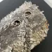 10Chanel Sequin New Mini Flap Bag - Metallic Shoulder Bags #A49789