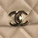 19Chanel Small Flap Bag #A50045