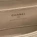 24Chanel Small Flap Bag #A50045