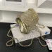 6Chanel Small Flap Bag #A50045