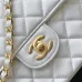 58Chanel shoulder bags High Quality #A47939