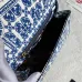 33D&amp;G New style colorful top quality bag  #A33518
