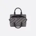 12 Dior Lingot 26 Handbag shoulder bag 1:1 quality #999925854