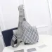 6Dior AAA+ Handbags #999924127