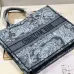 9Dior AAA+ Handbags Book Tote #A23098