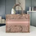 5Dior Book Tote original good quality #A24117