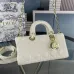 5Dior Elegant and classic  lady d-joy  portable shoulder back  crossbody bag #A22911