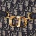 6Dior Handbag cd besace Size:24x15x6cm #A48336