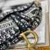 6Dior Oblique Saddle Bag #999914668