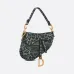 14Dior Saddle Bag 1:1 Original Quality 25cm #A24310