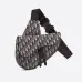 1Dior saddle bag #999923434