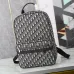 4Rider Backpack Beige and Black Dior Oblique Jacquard #A50077