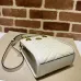 5Gucci AAA+ Handbags #999924077