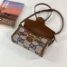6Gucci AAA+ Handbags #A23087