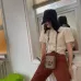 1Gucci AAA+ Handbags #A23102