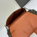 3LOEWE new style  bags #A34861