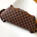 4Louis Vuitton Backpack Christopher #A51215